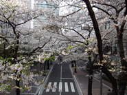 サントリーホール